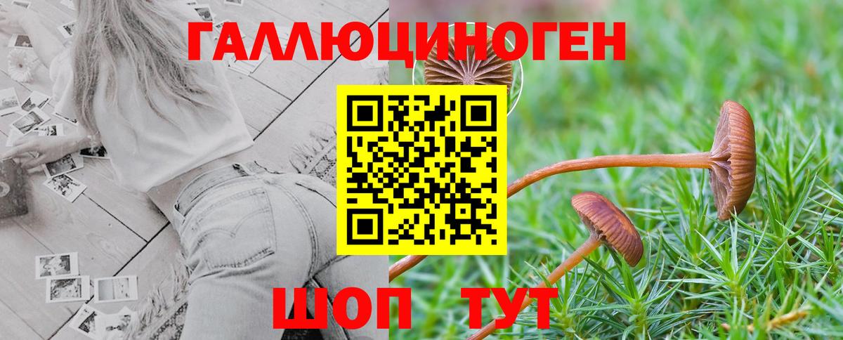 Люберцы  Галлюциногенные грибы Magic Shrooms  Вход с VPN 